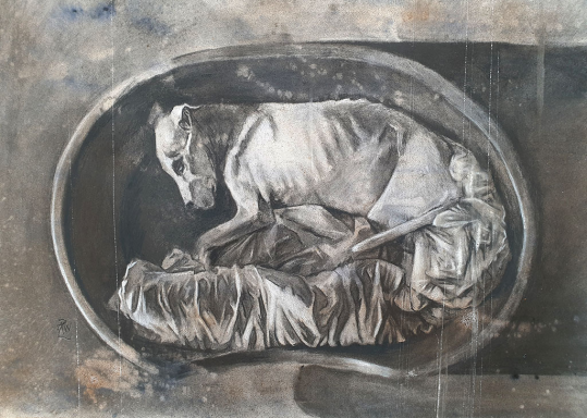 "Lifecycle" Charcoal Picture